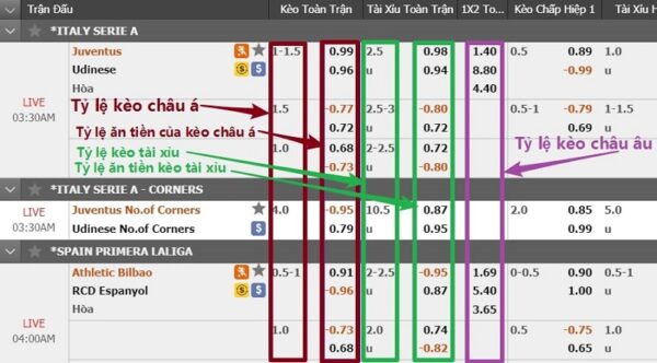 Phân tích thông tinh chính xác để đưa ra đặt cược hiệu quả